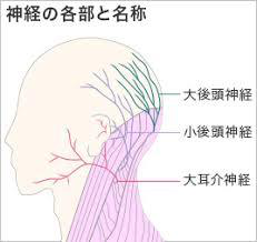 後頭神経痛