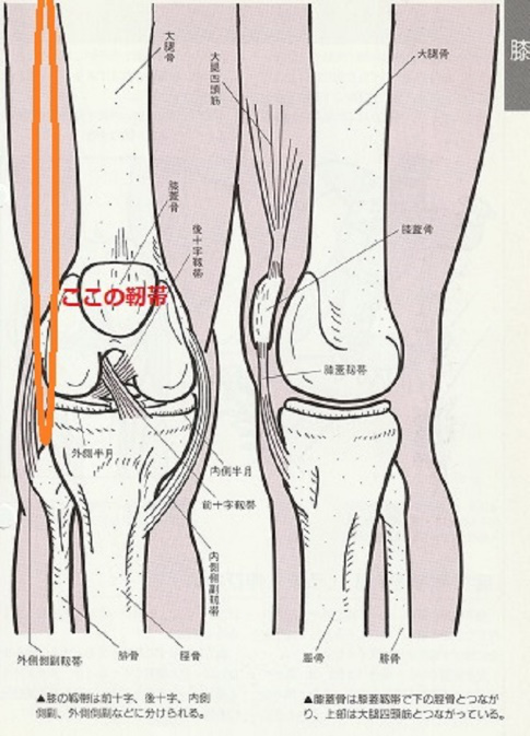 腸脛靭帯